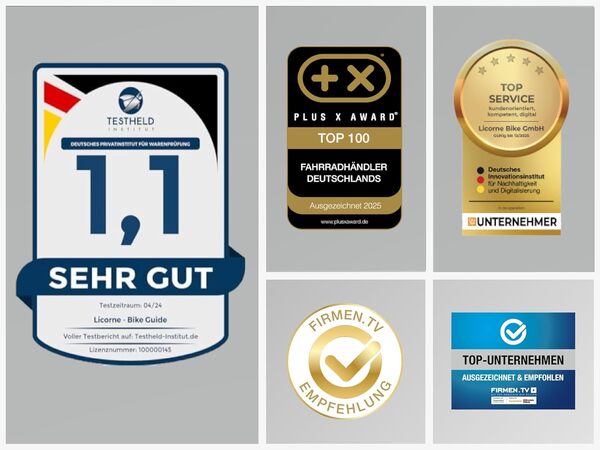 Licorne Bike Guide Vélo VTT haut de gamme pour filles, garçons, hommes et femmes Vélo avec dérailleur Shimano 21 vitesses