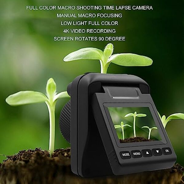 Explorez les fonctionnalités de la caméra timelapse 4K étanche : tests, guide d'utilisation et conseils pour des vidéos spectaculaires en extérieur